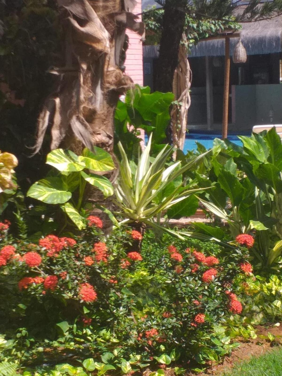 Chale Tulipa - Centro Praia Da Pipa Praia de Pipa Exteriör bild